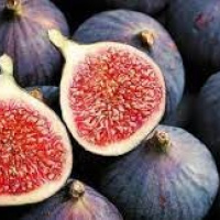 Figs