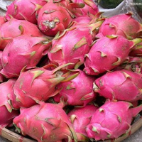 Dragon fruits