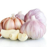 Dry and fresh garlic